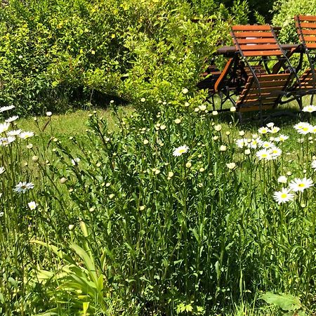 Kouzelna Maringotka Otel Chřibská Dış mekan fotoğraf