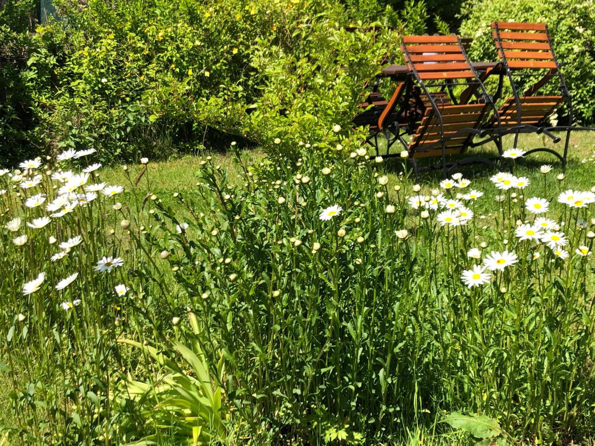 Kouzelna Maringotka Otel Chřibská Dış mekan fotoğraf